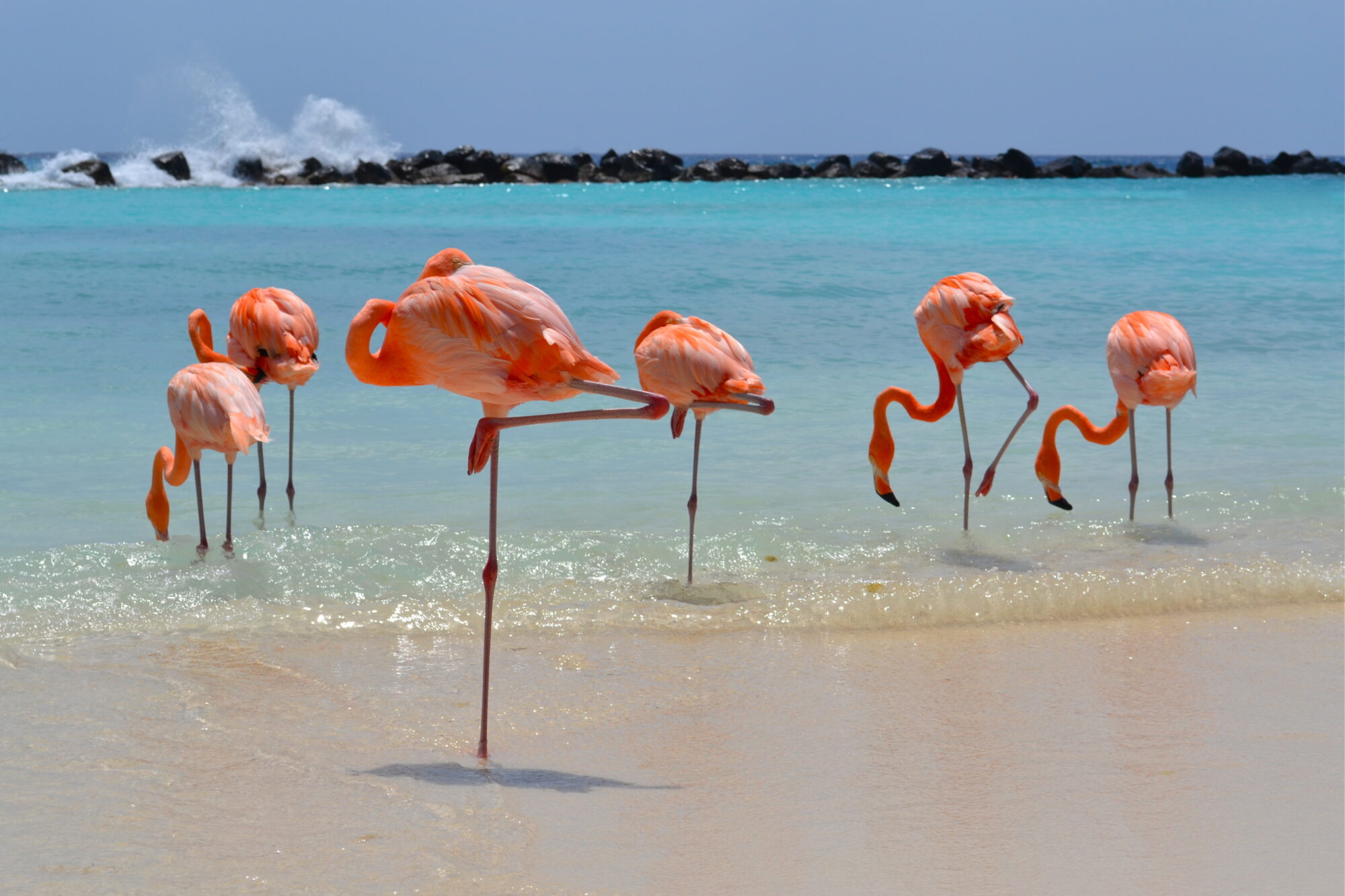 Renaissance Wind Creek Aruba Resort_Renaissance Island